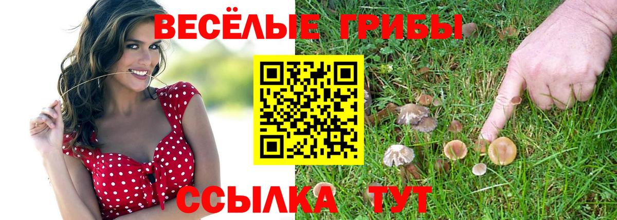 Псилоцибиновые грибы мухоморы Черкесск
