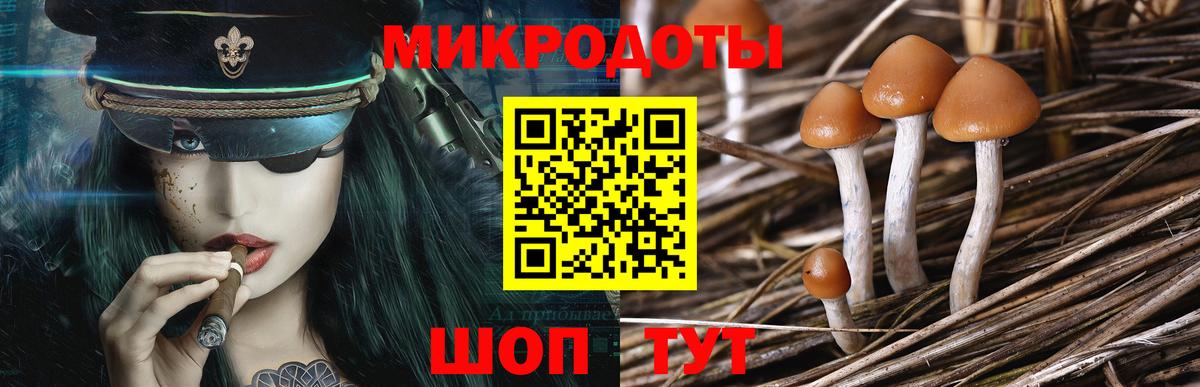Псилоцибиновые грибы мицелий  Псилоцибиновые грибы GOLDEN TEACHER  Вход с VPN  Черкесск 